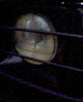 suzukino in mare acqua dentro i fanali